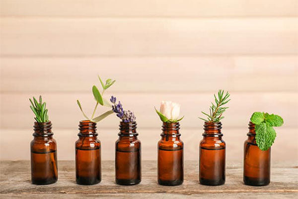 10 Popular Essential Oils For Beginners – Neob Niagara