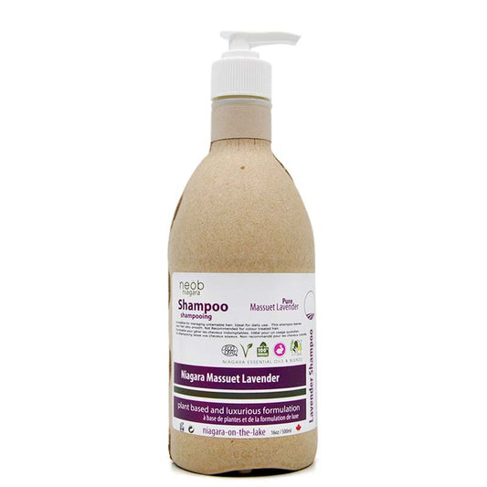 Massuet Shampoo 500ml