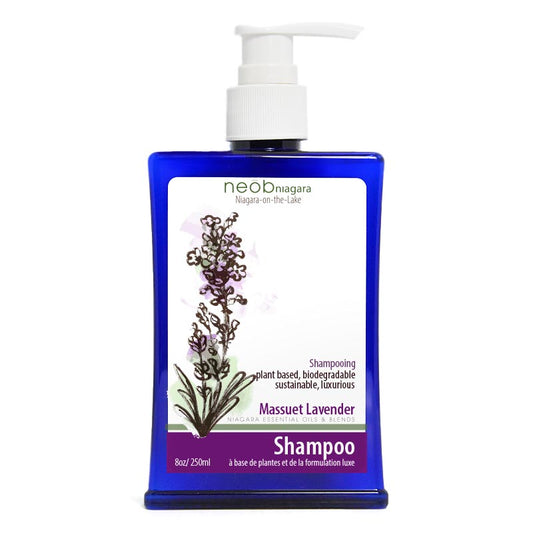 Massuet Shampoo 250ml