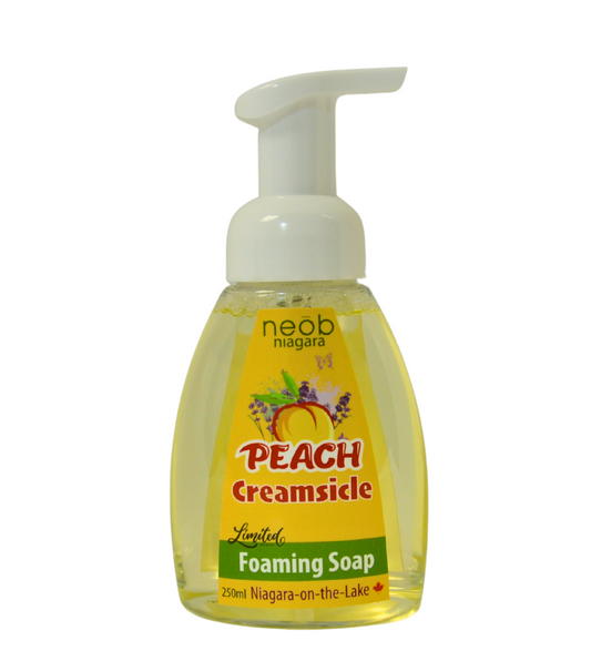 Peach Creamsicle Foaming Soap 250ml