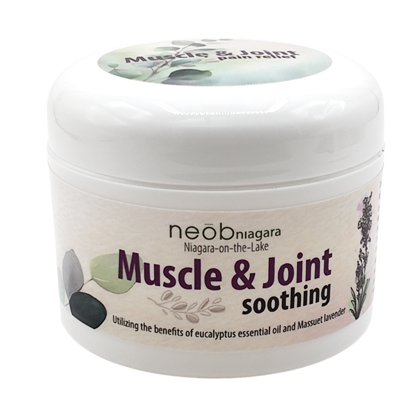 Aches and Pains - Muscle and Joint 240ml
