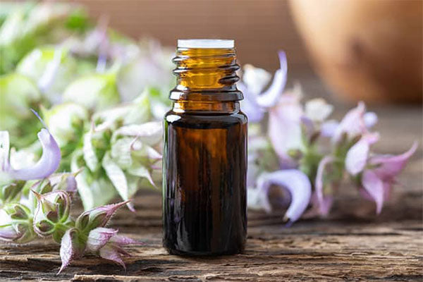 Clary Sage Essential Oil