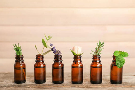 10 Popular Essential Oils for Beginners