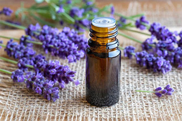 Lavender Essential Oil – neob niagara