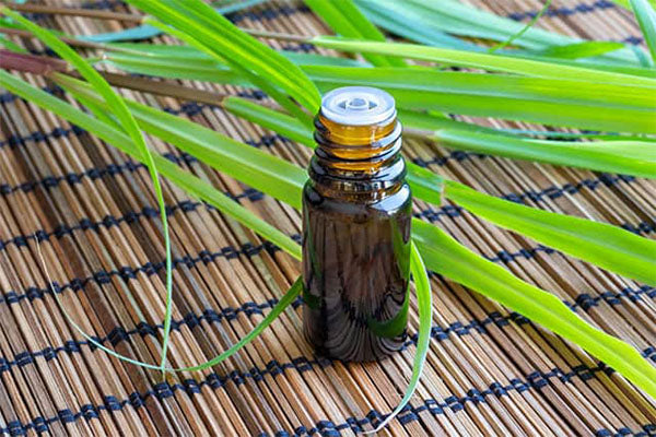 Lemongrass Essential Oil