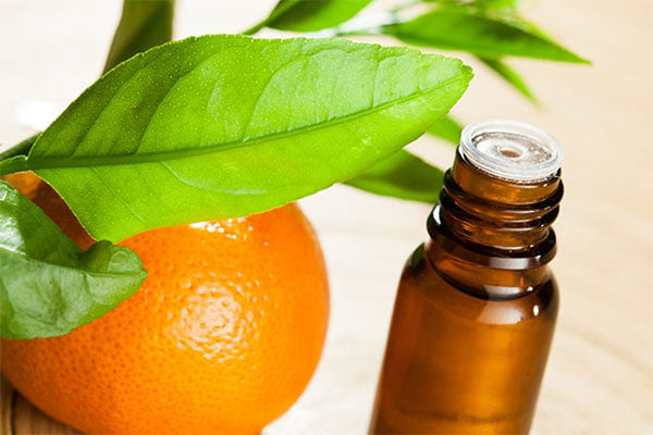 Orange Essential Oil