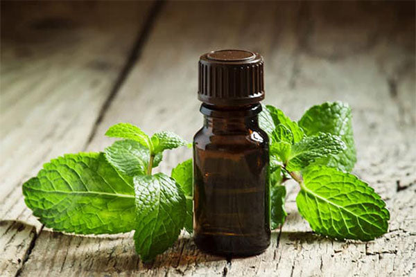 Peppermint Essential Oil