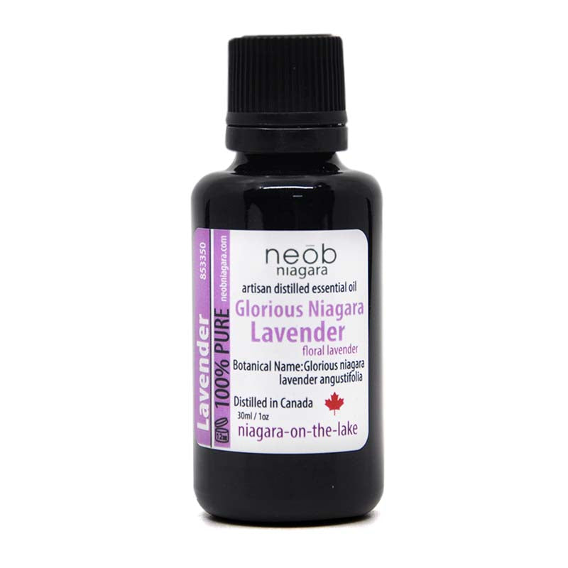 Neob Lavender Glorious Lavender Essential Oil 30ml – neob niagara