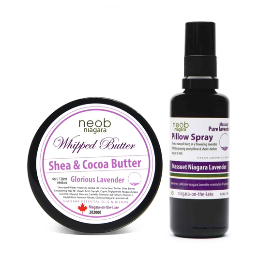 Lavender Body Care Set