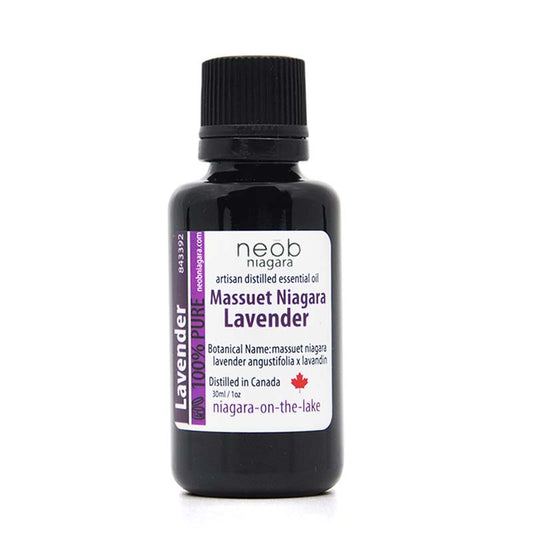 Massuet Lavender Essential Oil 30ml